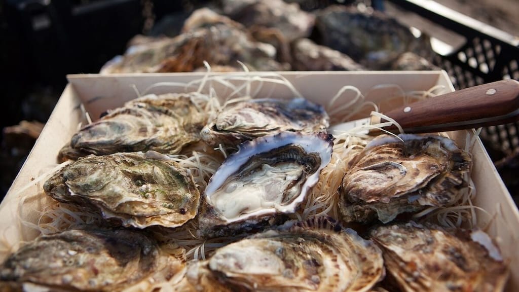 Oyster Festival in Ireland