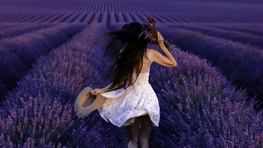 Lavander Festival in Sault, France