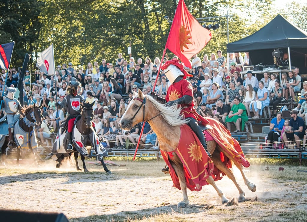 Gotland Medieval Week