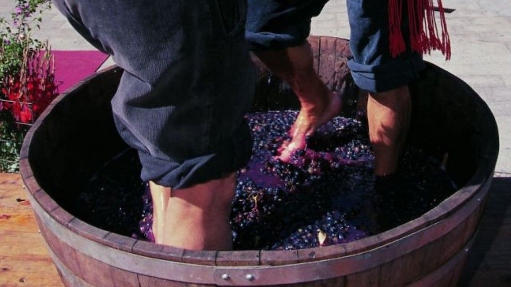 La Rioja Wine Harvest Festival