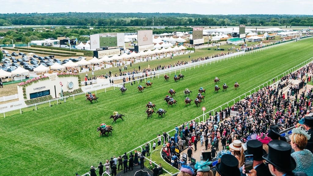 Jockeys and thoroughbred horses racing down the track at Royal Ascot
