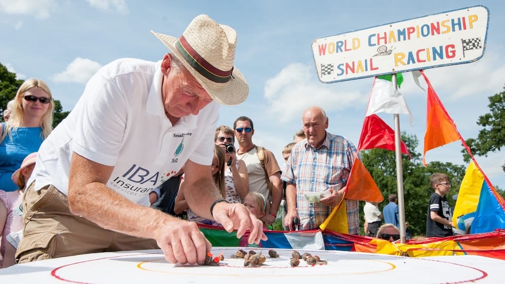 Snail Racing Championship in England