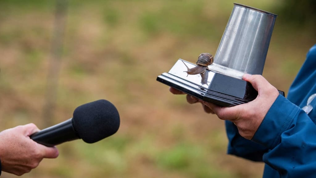 The World Snail Racing Championship in UK